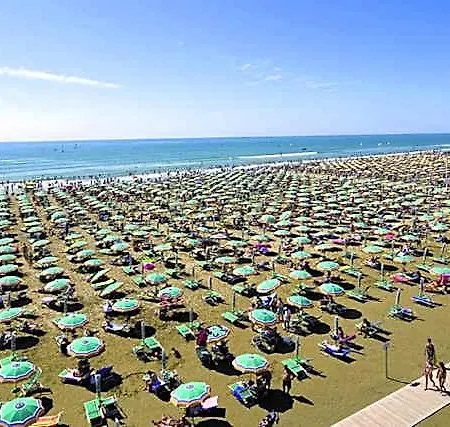 호텔 Spacious And Bright 3*